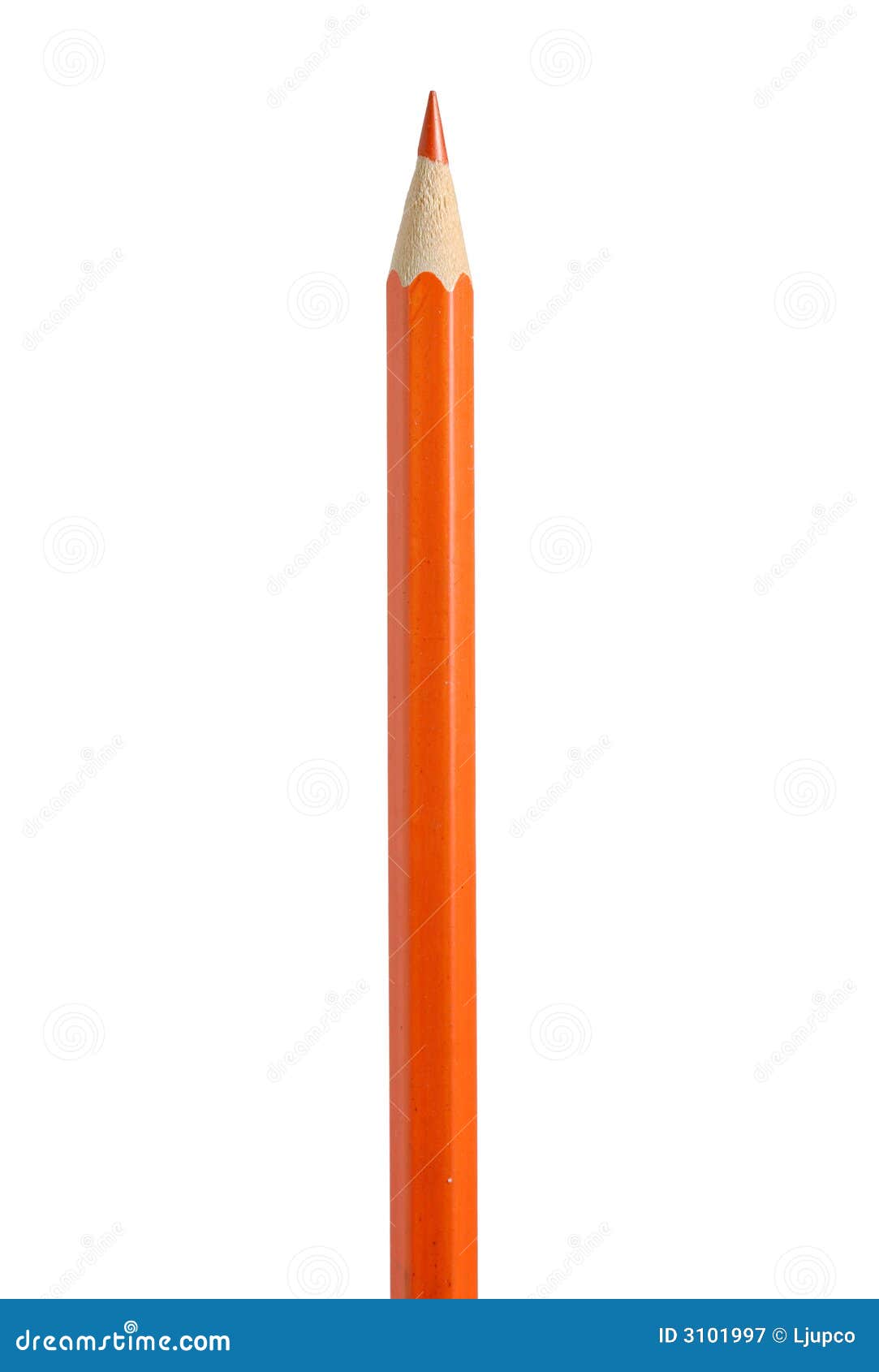 Orange pencil stock image. Image of crayon, isolated, sharp - 3101997
