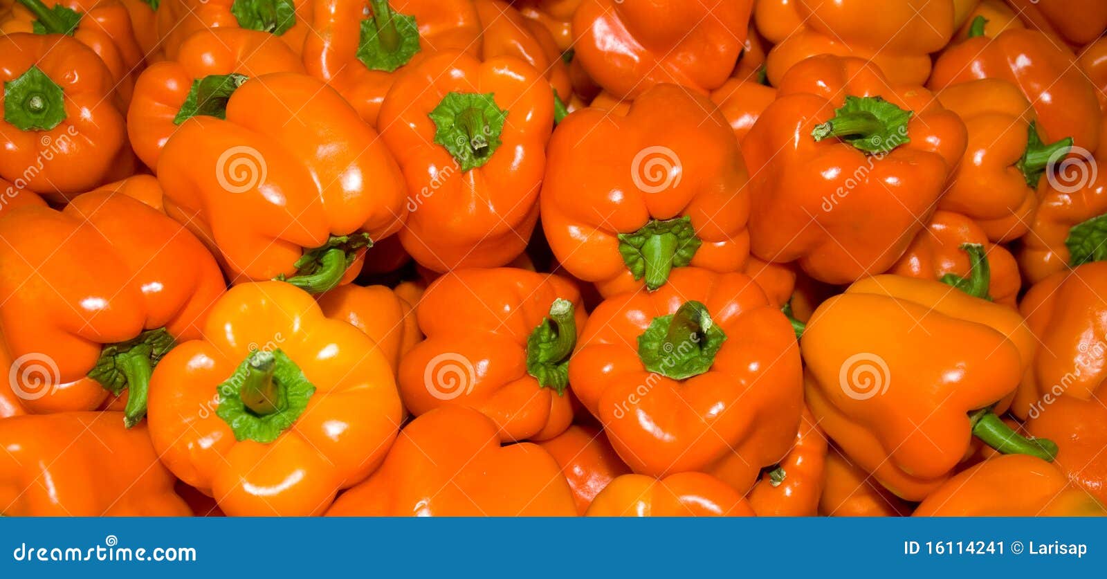 Orange pepper. stock image. Image of pepper, natural 16114241