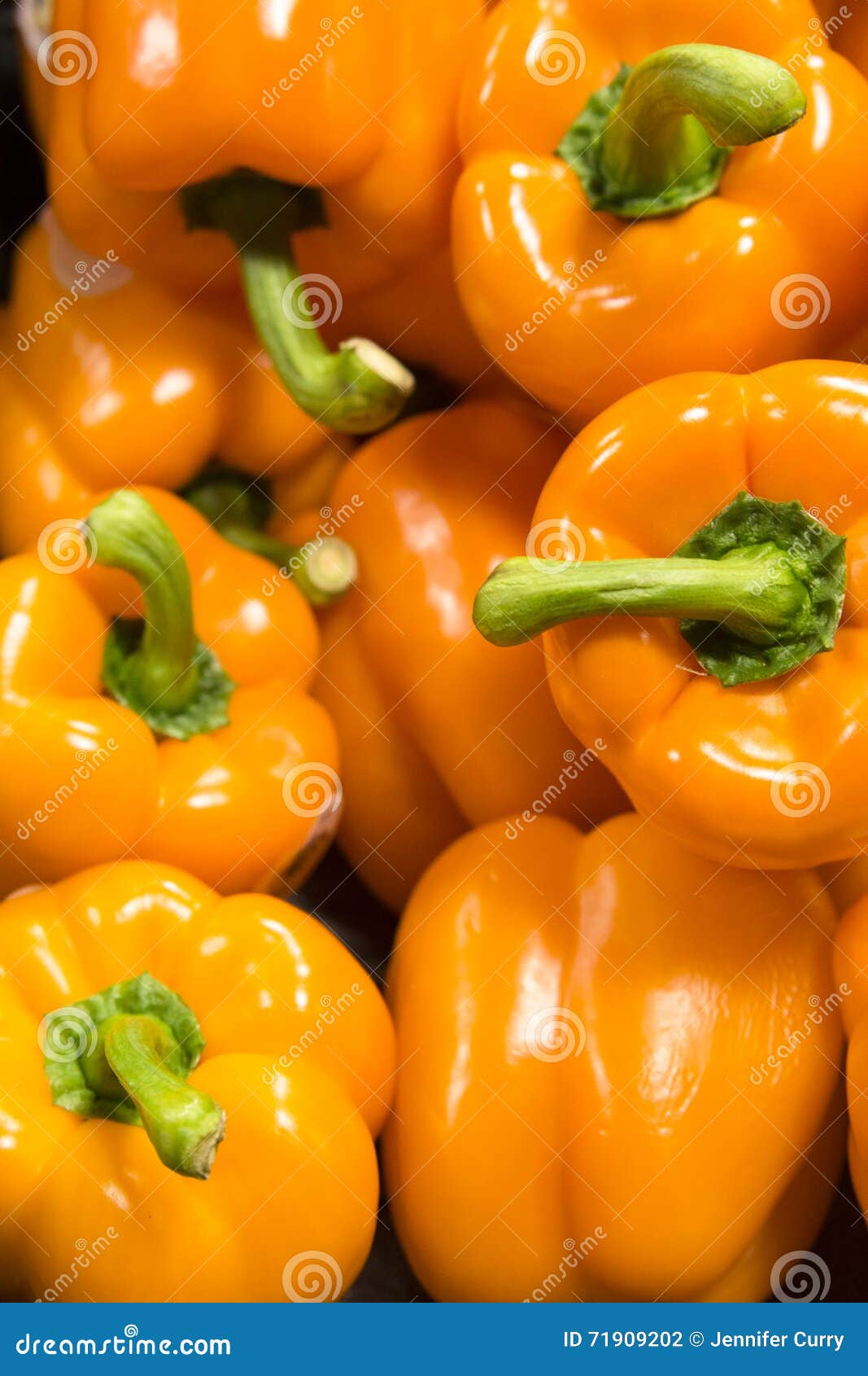 Orange Peppers stock photo. Image of orange, veggetables 71909202