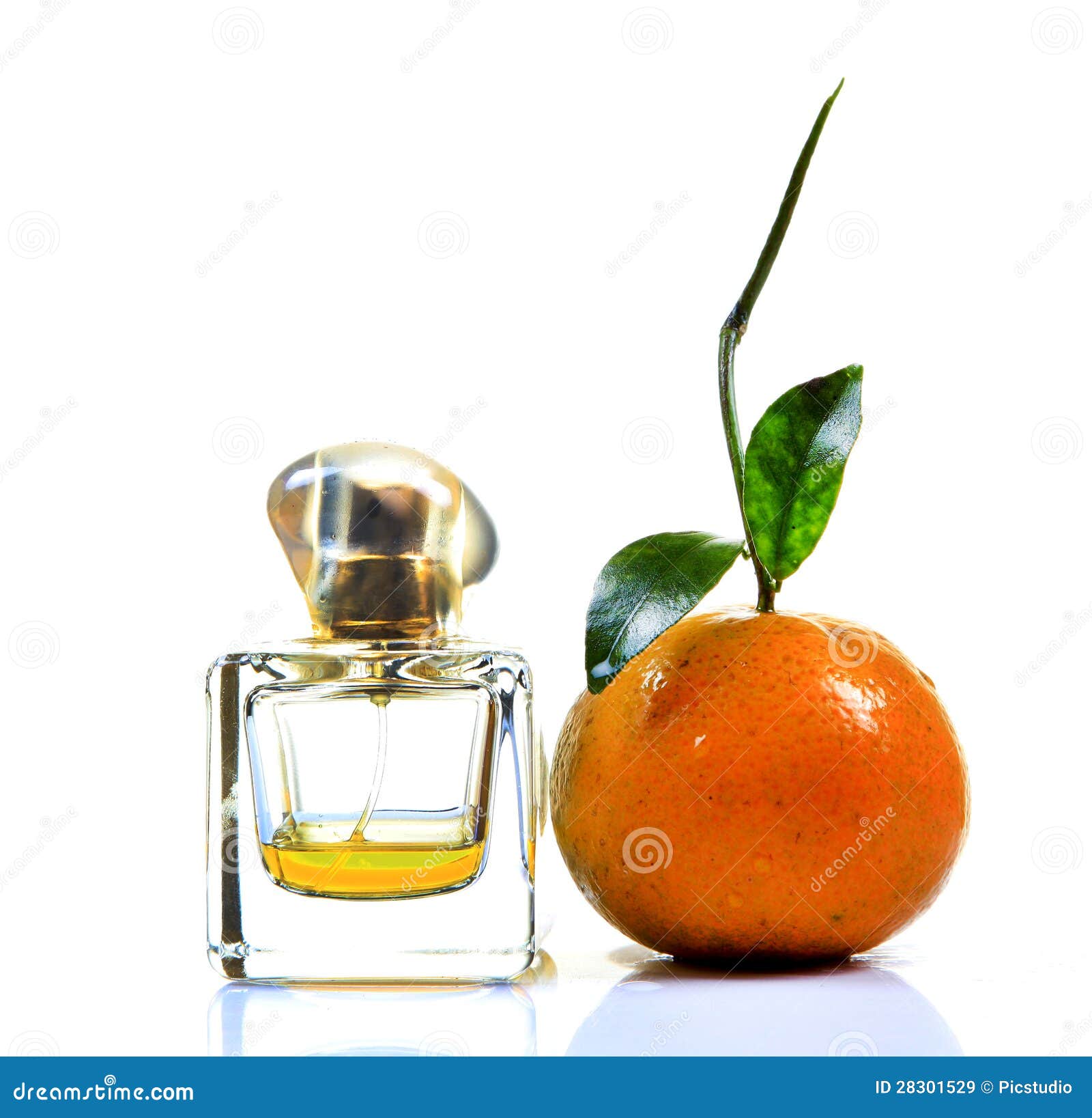 Orange perfume stock image. Image of juicy, white, scent 28301529