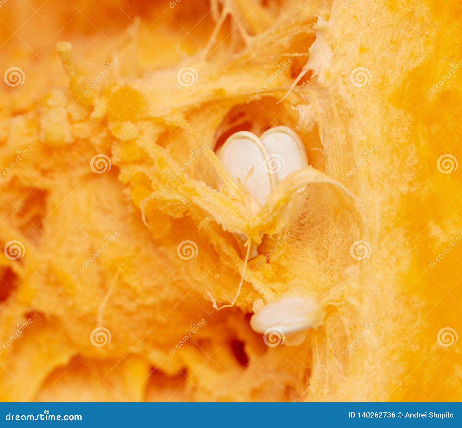 Orange Pulp with Seeds in a Pumpkin As Background Stock Photo Image of halloween, healthy