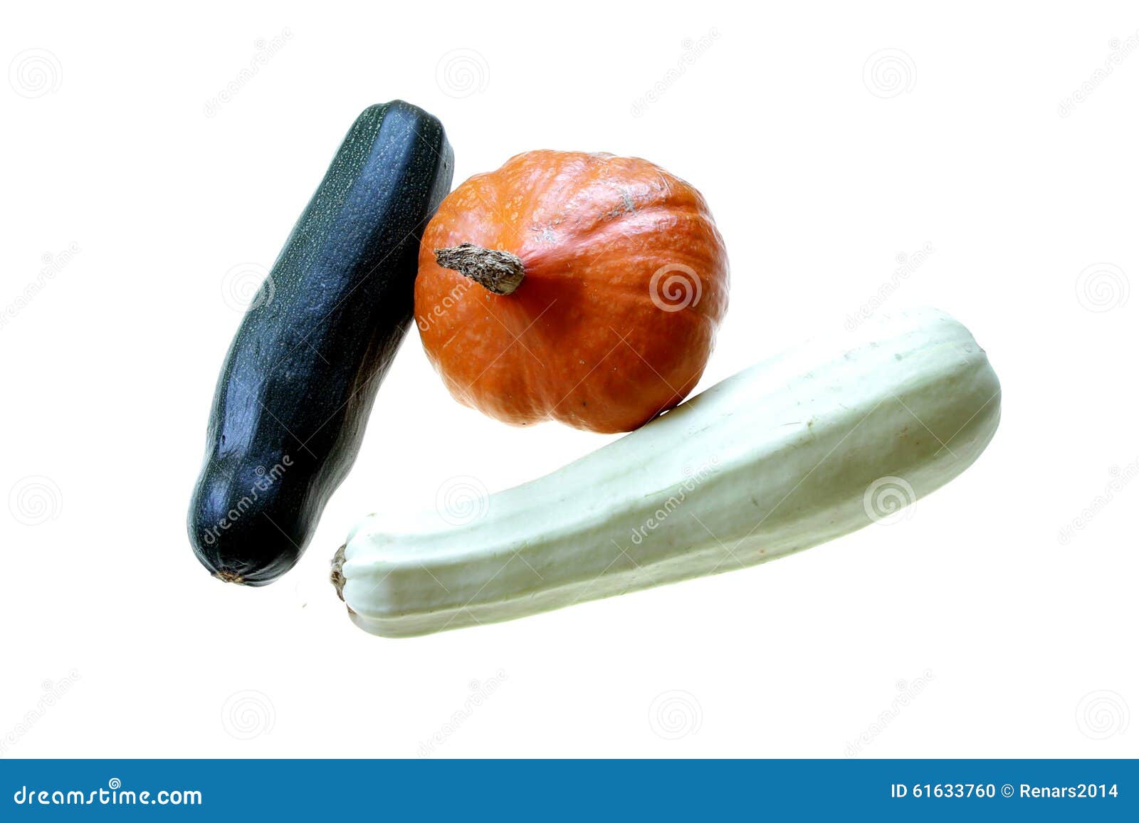 Orange Pumpkin and Green Squash Vegetable Marrow Isolated Stock Photo