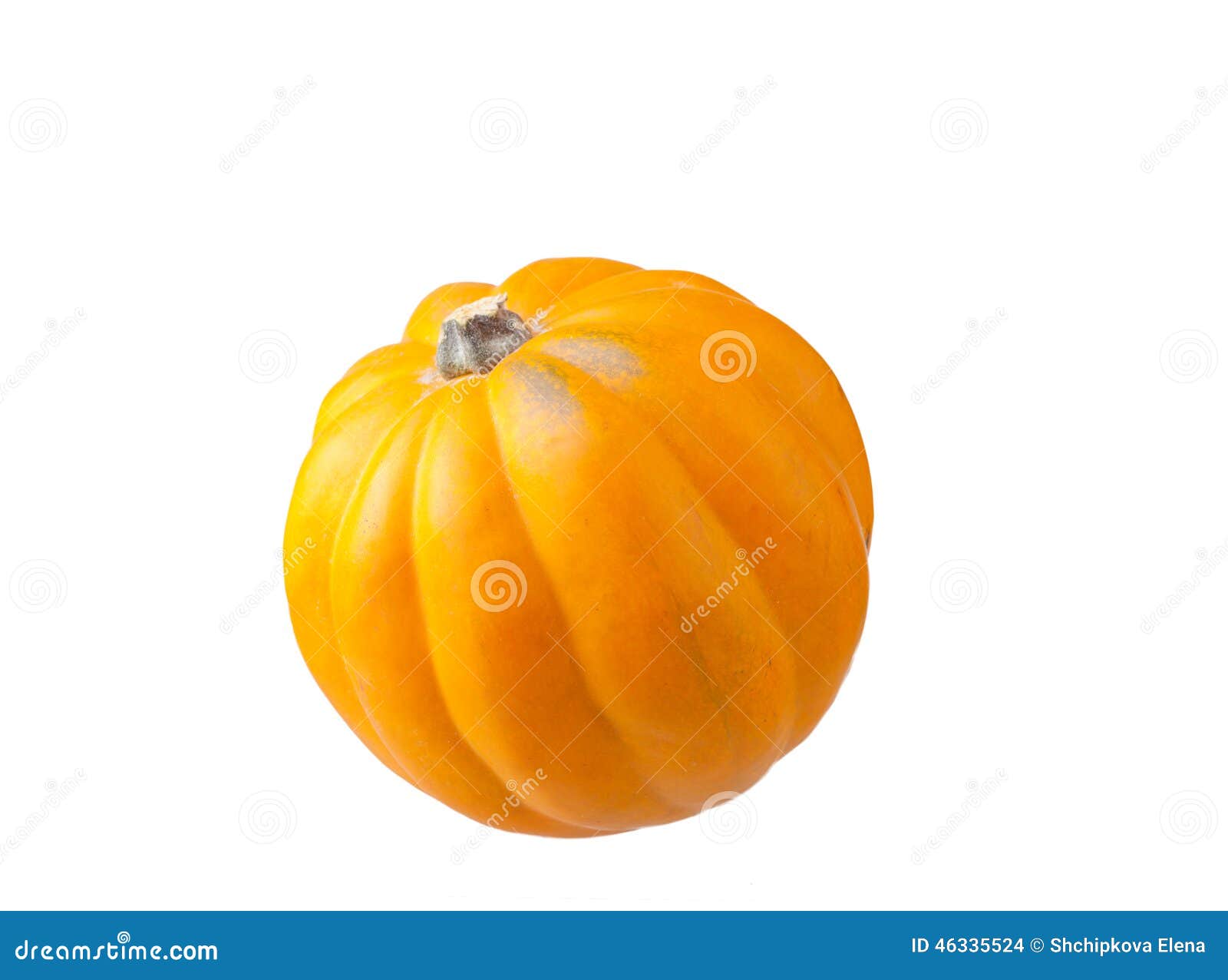 Orange pumpkin stock photo. Image of orange, squash, pumpkin 46335524