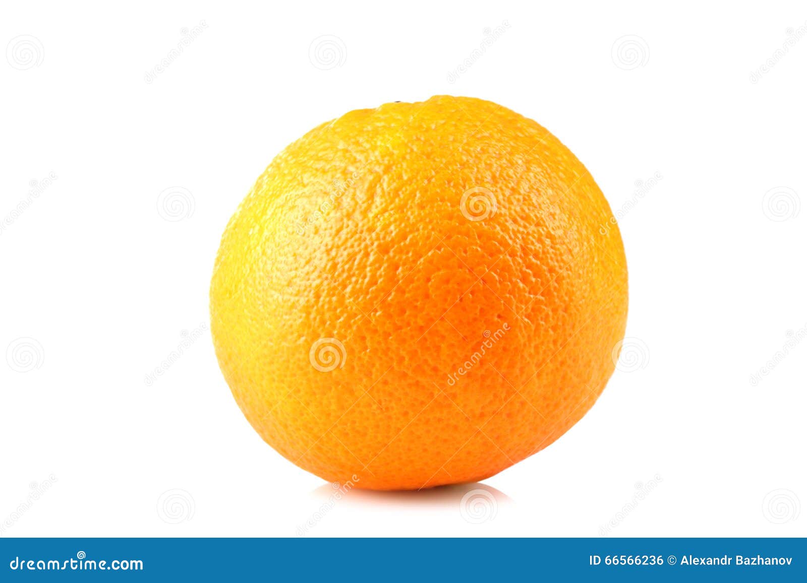 Orange stock photo. Image of fruit, exotic, healthy, closeup 66566236