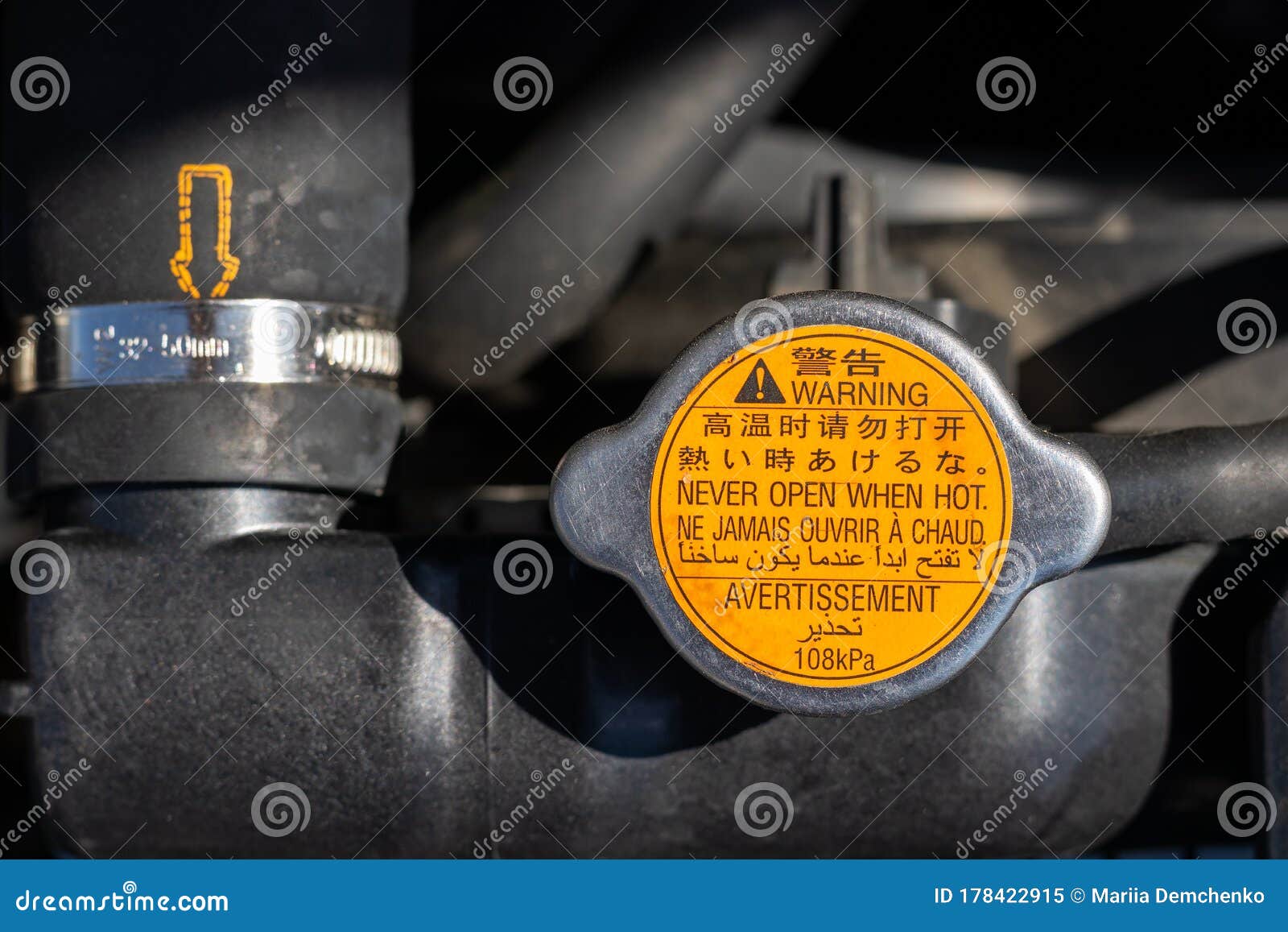 radiator cap hose