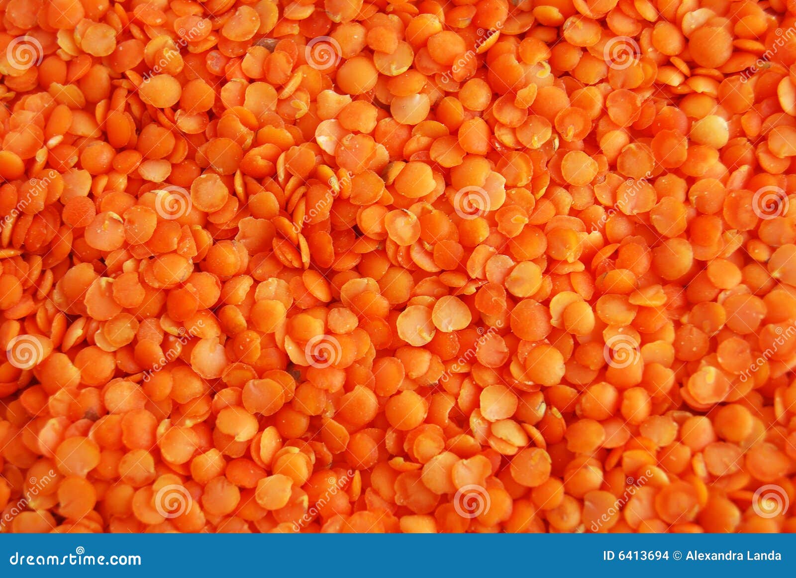 PETITE CRIMSON Rich Orange-Red Color 100+ Untreated Seeds Lentil Seeds 