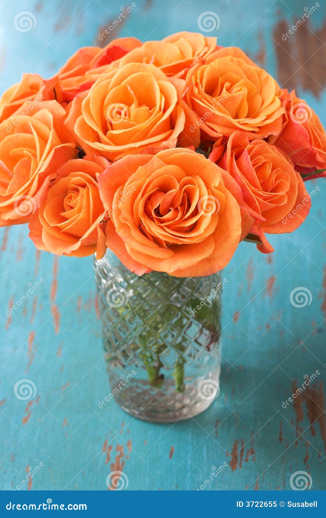 Orange Rose Flowers in Vase Stock Image Image of orange, bunch 3722655