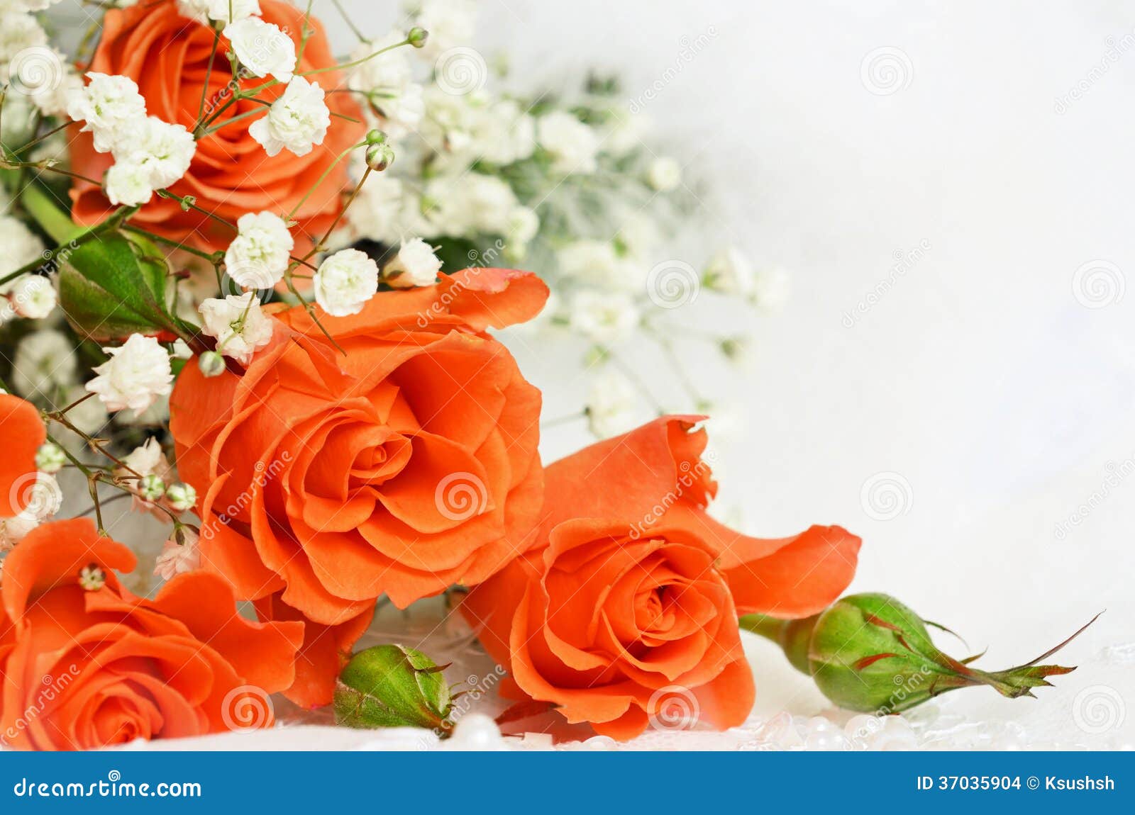 Cùng ngắm nhìn bức hình hoa hồng cam trên nền trắng tinh khôi đã tạo nên một sắc thái rực rỡ và cuốn hút. Hãy để màu sắc đầy tươi sáng này mang đến cho bạn những cảm xúc tuyệt vời nhất trong ngày mới.