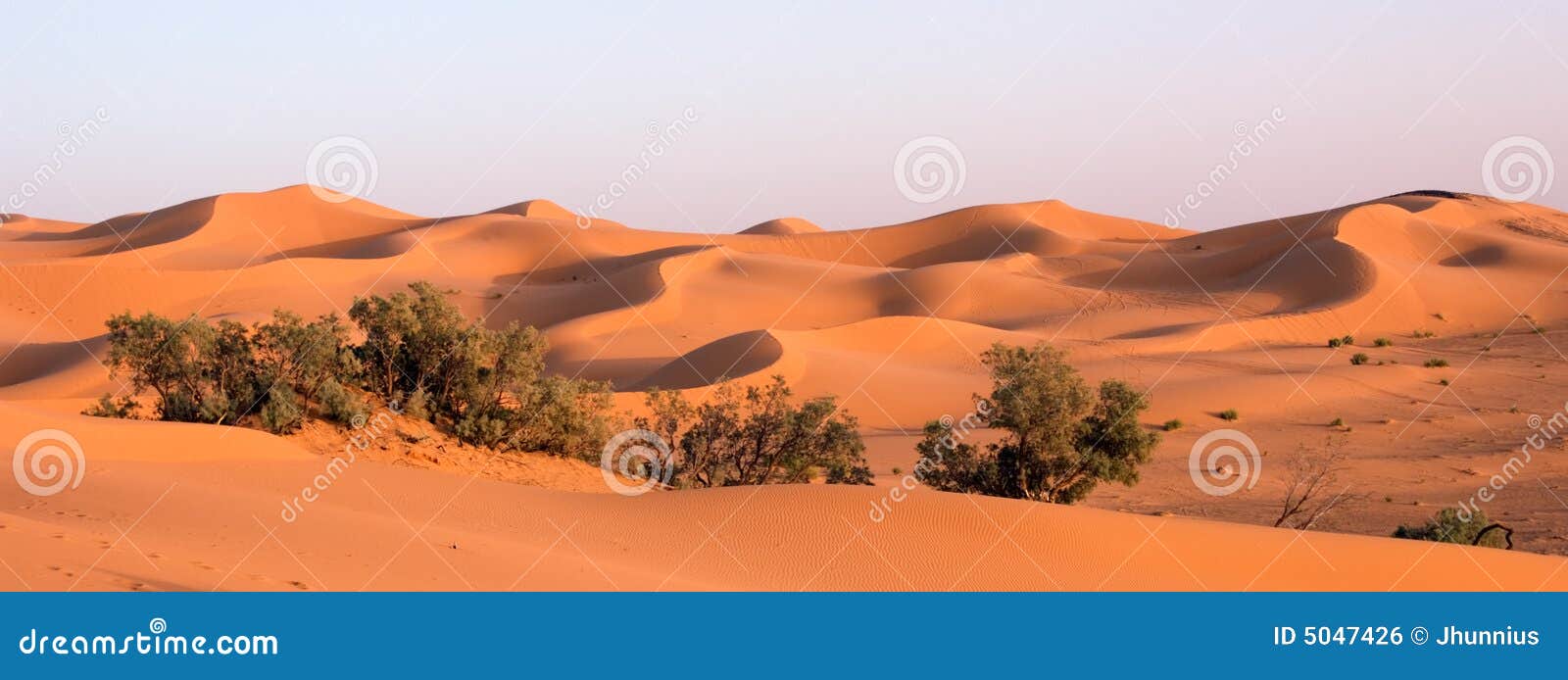 orange sand dunes at erg chebbi, morocco