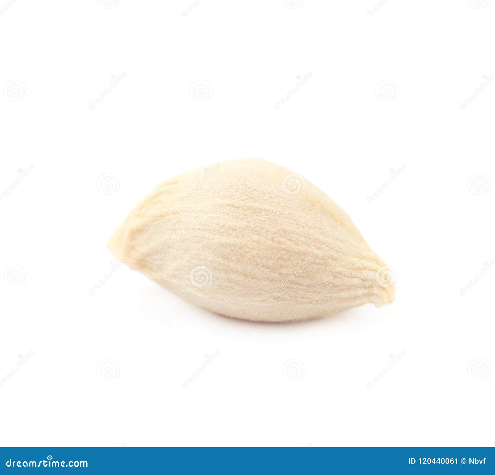 Orange Seed Isolated Stock Image Image Of Ingredient 120440061