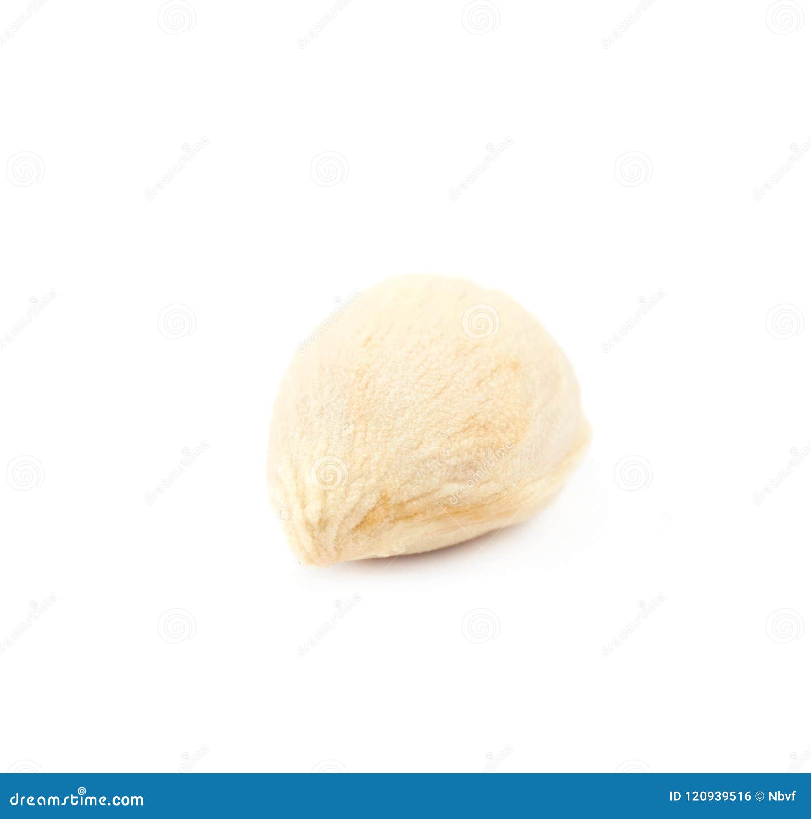 Orange seed isolated stock photo. Image of color, seed 120939516