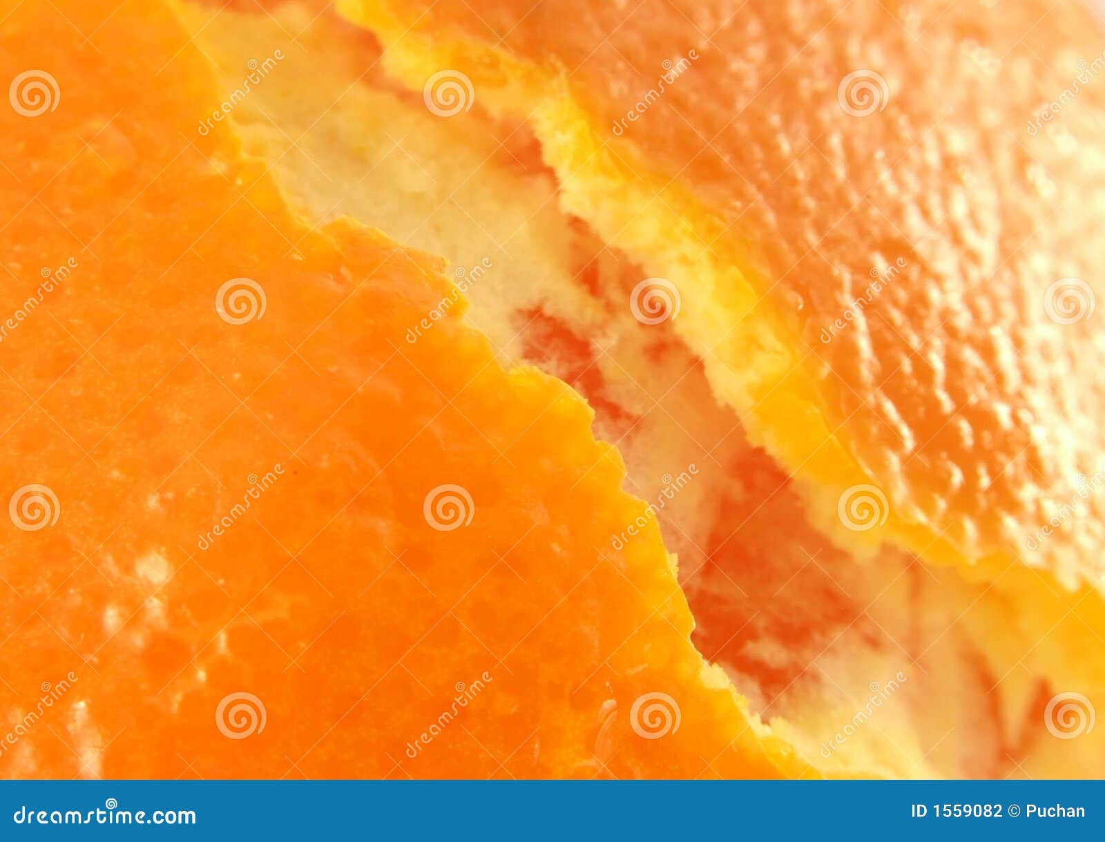 Orange Skin Stock Photo Image Of Orange Health Skin 1559082