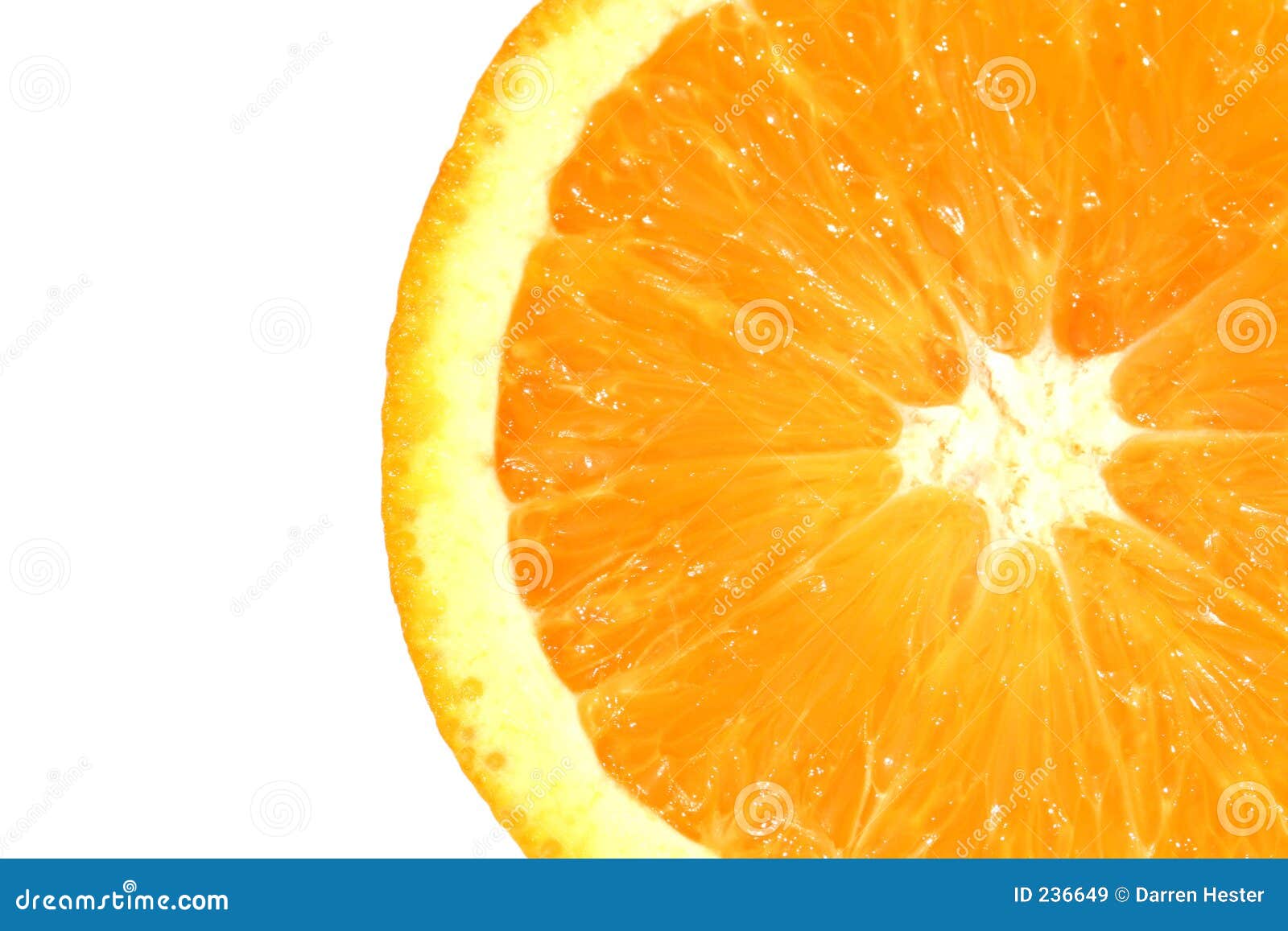 Orange Slice Stock Image Image Of Keywords Fruit Food 236649