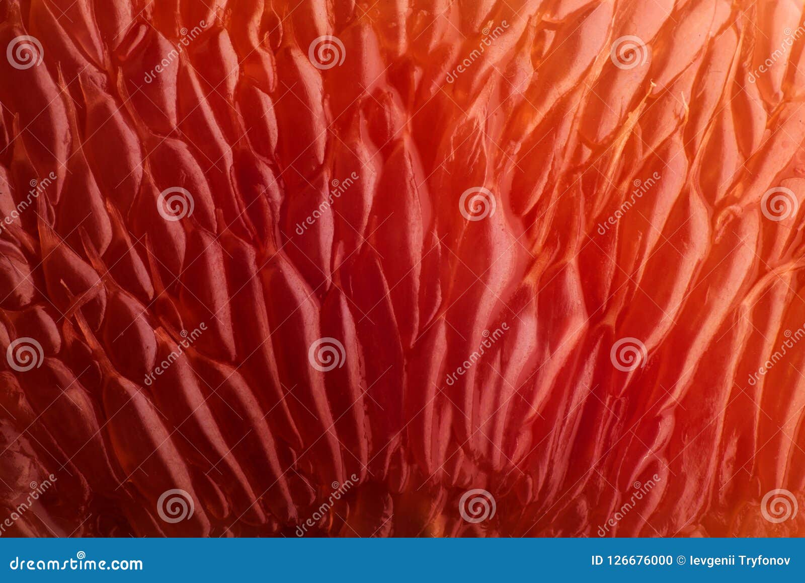 orange slice background. abstract macro shoot.