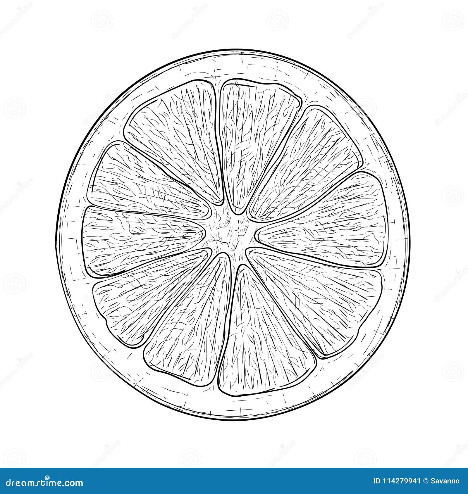 orange fruit black and white vector illustration 3415787 Vector