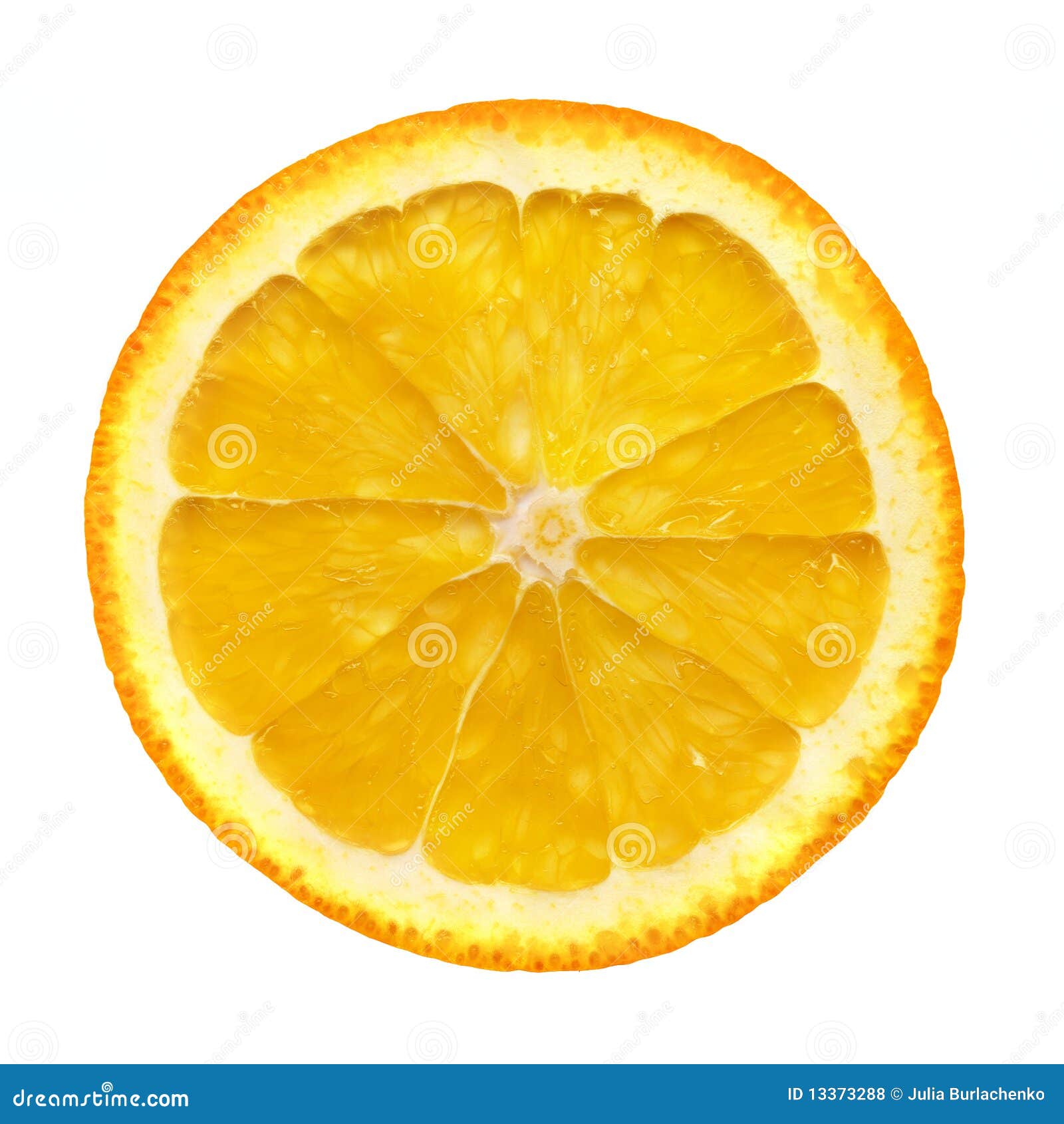 Orange Slice, High Resolution Stock Photo Image of circle, fruit