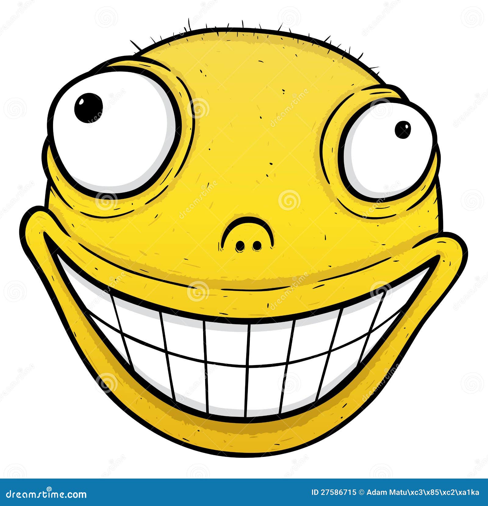 Orange Smile Royalty Free Stock Photo - Image: 27586715