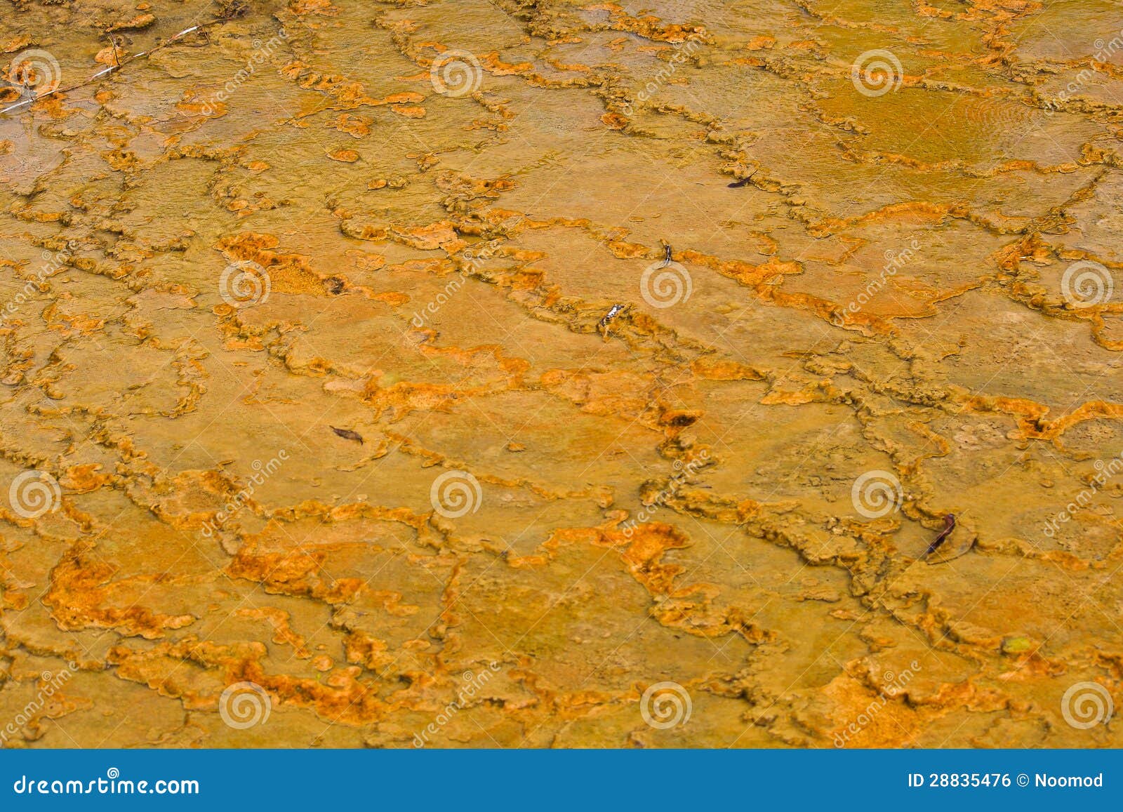 Orange soil. stock photo. Image of desert, natural, textured 28835476