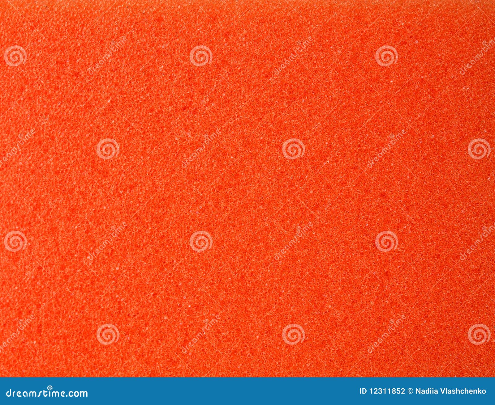 Orange sponge pores stock photo. Image of sponge, kitchen 12311852