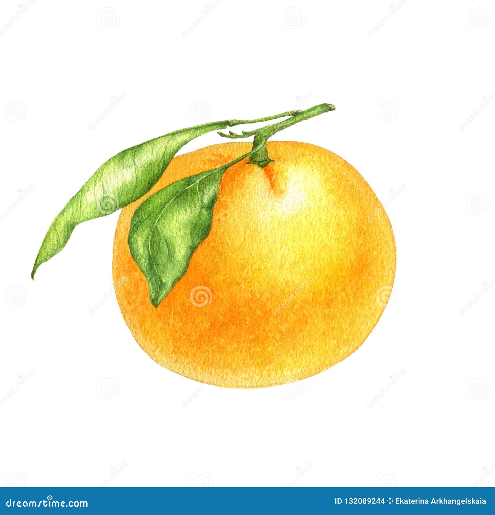 tangerine color watercolor background
