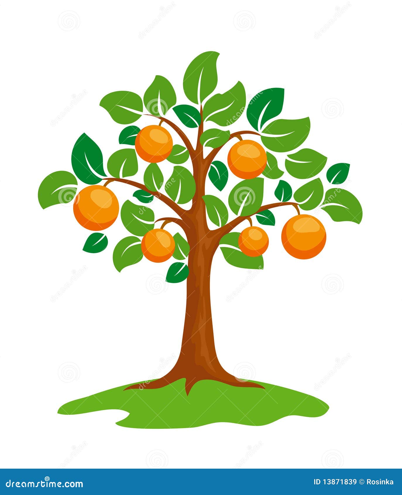Free: Orange Tree Clipart - Draw A Fruit Tree - nohat.cc