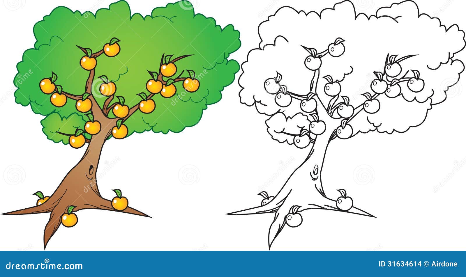 Featured image of post Orange Tree Drawing For Kids - Orange trees have an exotic, tropical reputation, but many varieties grow nicely in mediterranean climates.