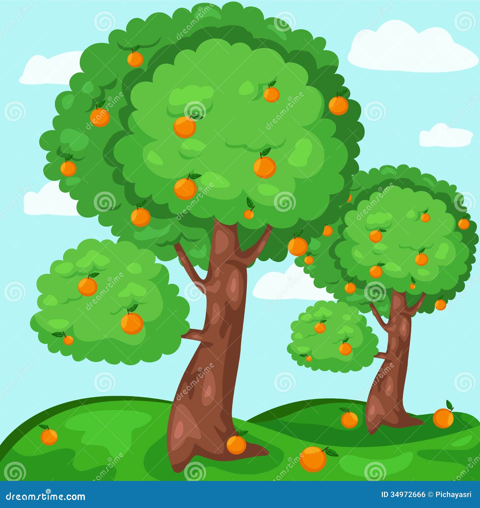 Orange Grove Clipart