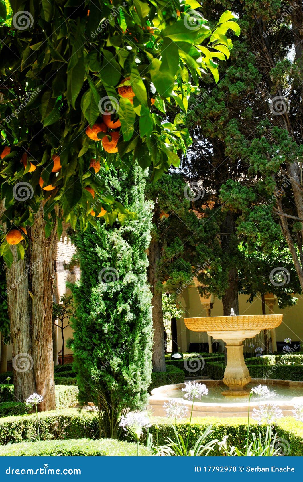 Orange trees in patio stock photo. Image of castle, patio 17792978