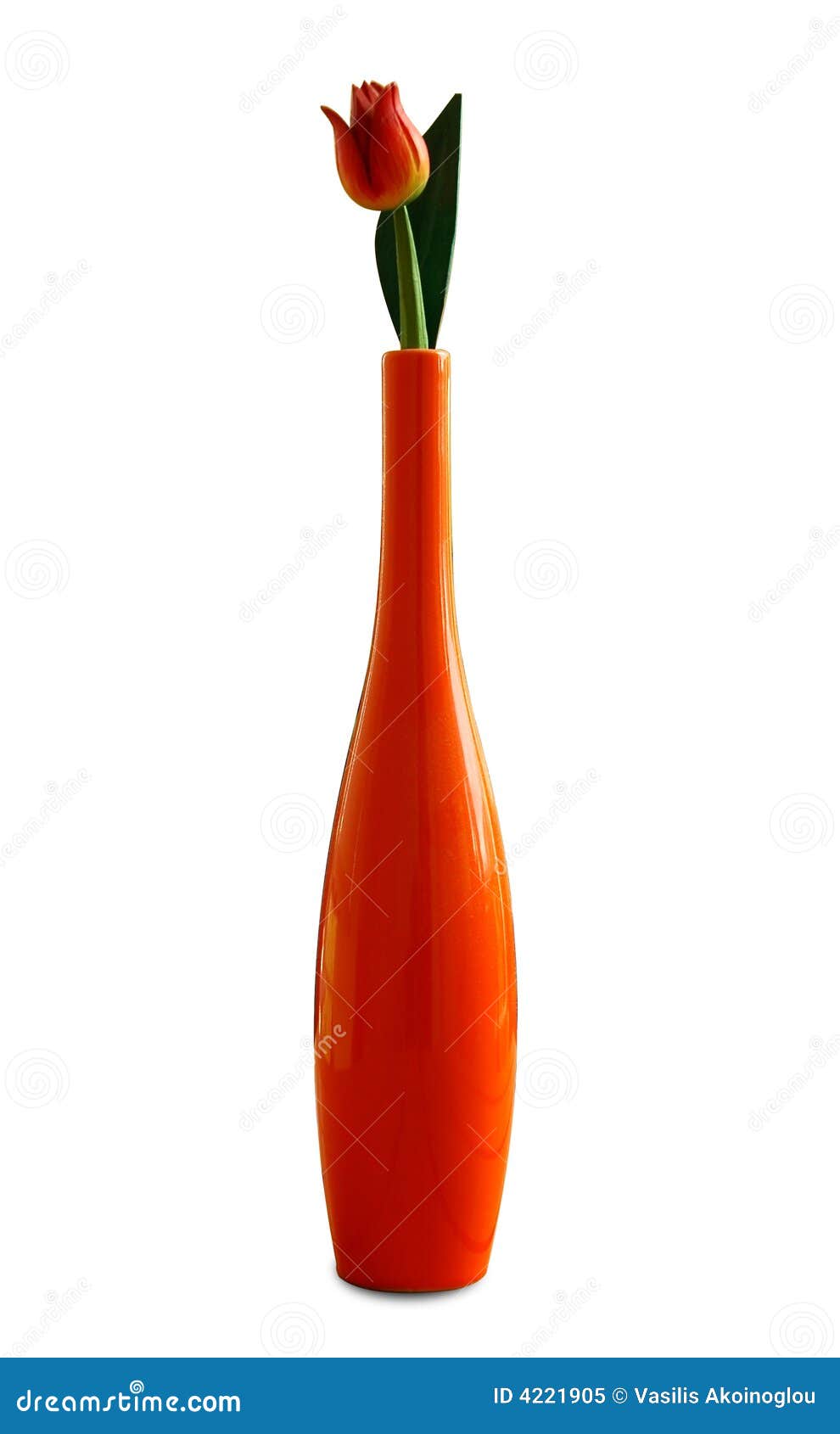 Orange vase with tulip stock image. Image of colours, white 4221905