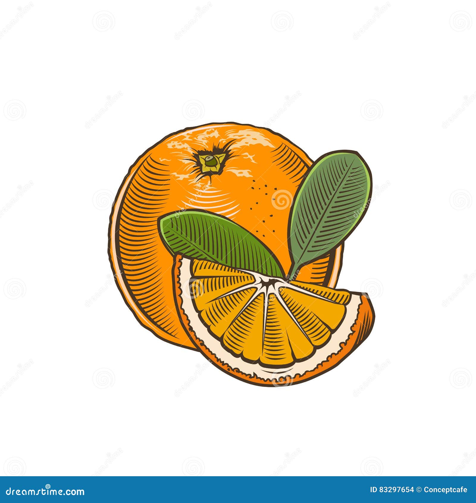 Orange in vintage style stock illustration. Illustration of label