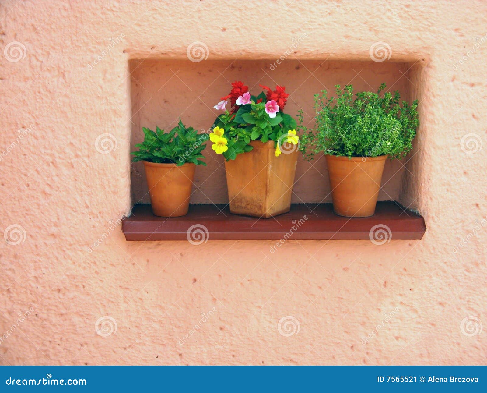 Orange wall and flowers stock image. Image of design, architecture 7565521