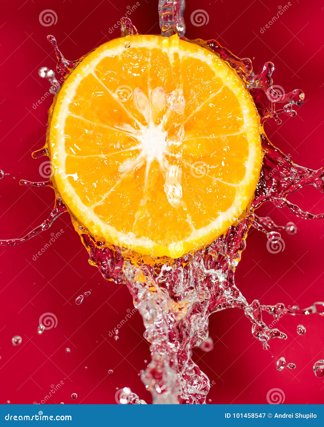 Orange in Water on a Red Background Background Stock Image Image of
