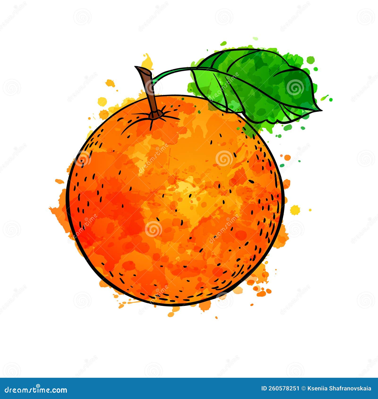 Orange Watercolor Sketch Vector Illustration Stock Vector