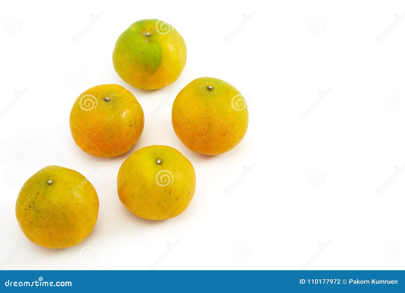 Orange on a White Background Stock Photo Image of fresh, diet 110177972