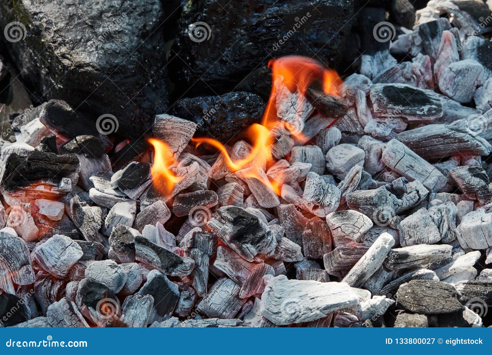 Orange Wild Fire on Black Coal Prepared for Barbecue Grill Stock Image