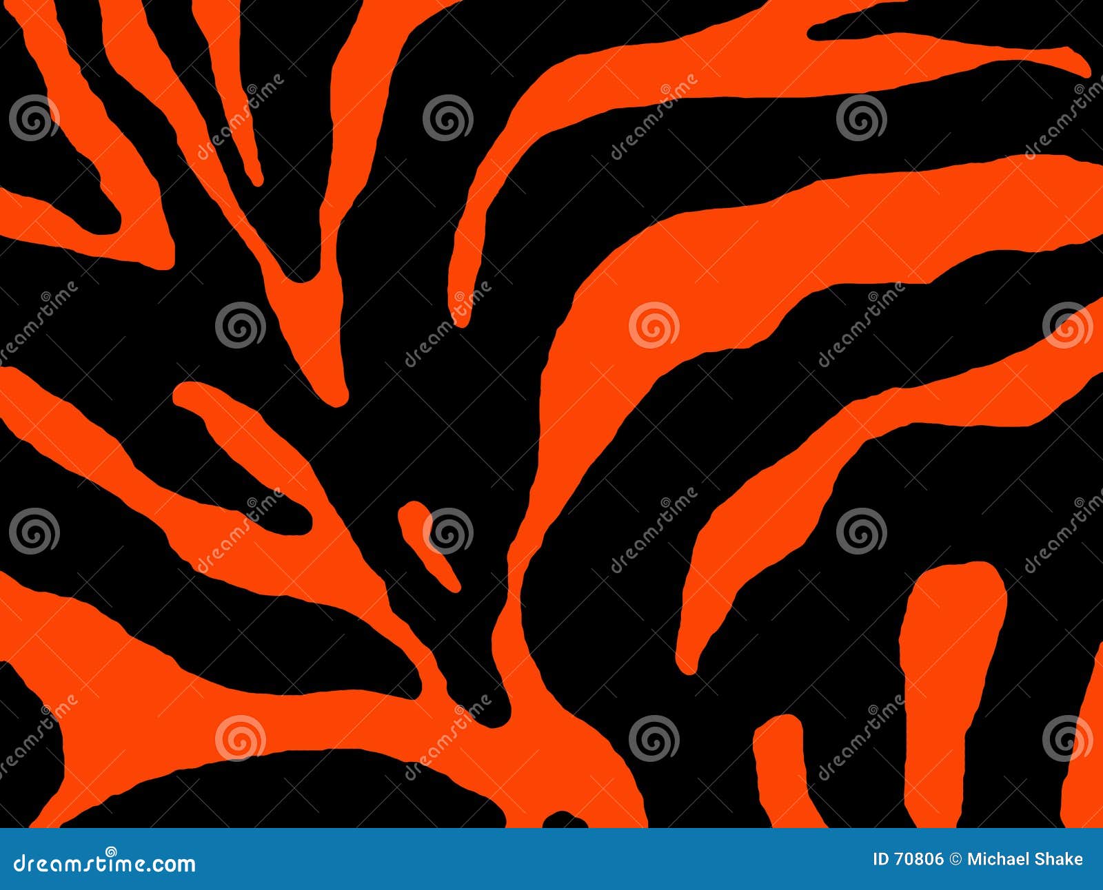 Orange Zebra Stripes Royalty Free Stock Image Image 70806