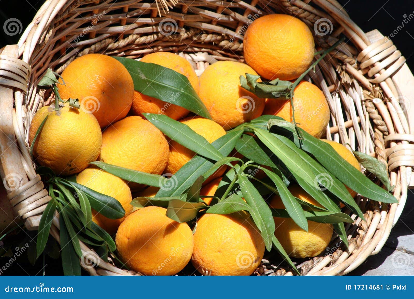 Oranges in the basket stock image. Image of extravasation 17214681