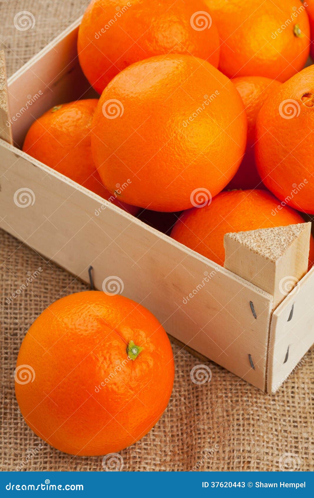 Oranges crate stock image. Image of citrus, agriculture 37620443