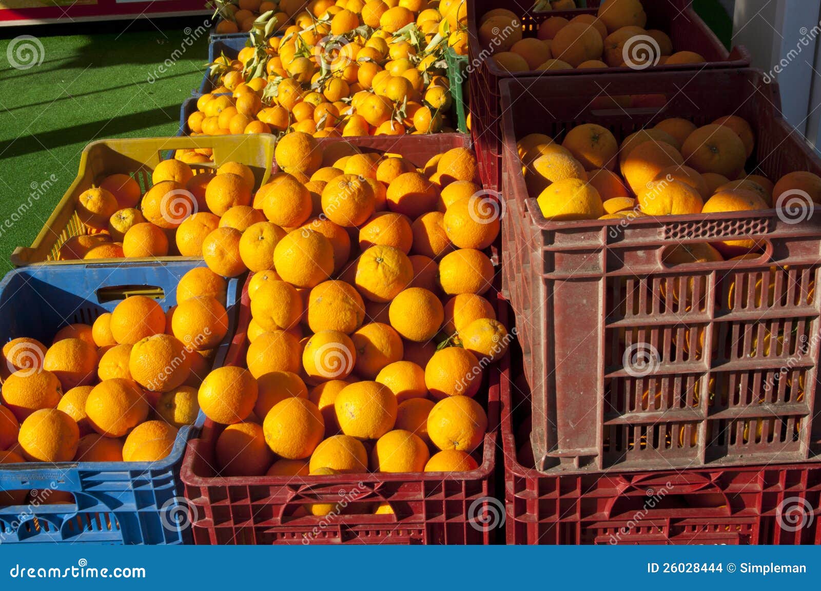 Oranges in Plastic Containers Stock Photo Image of backgrounds