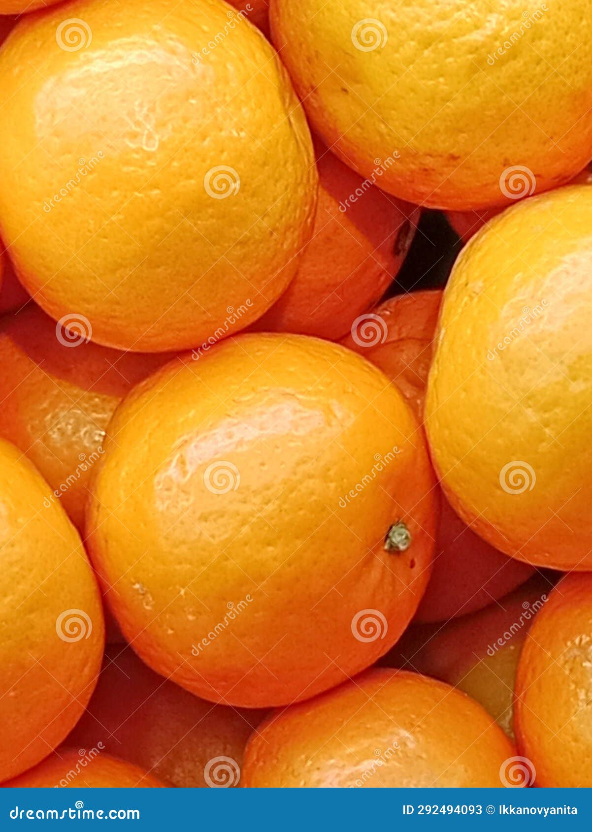 Oranges are Rich in Vitamins and Make You Healthy Stock Image Image
