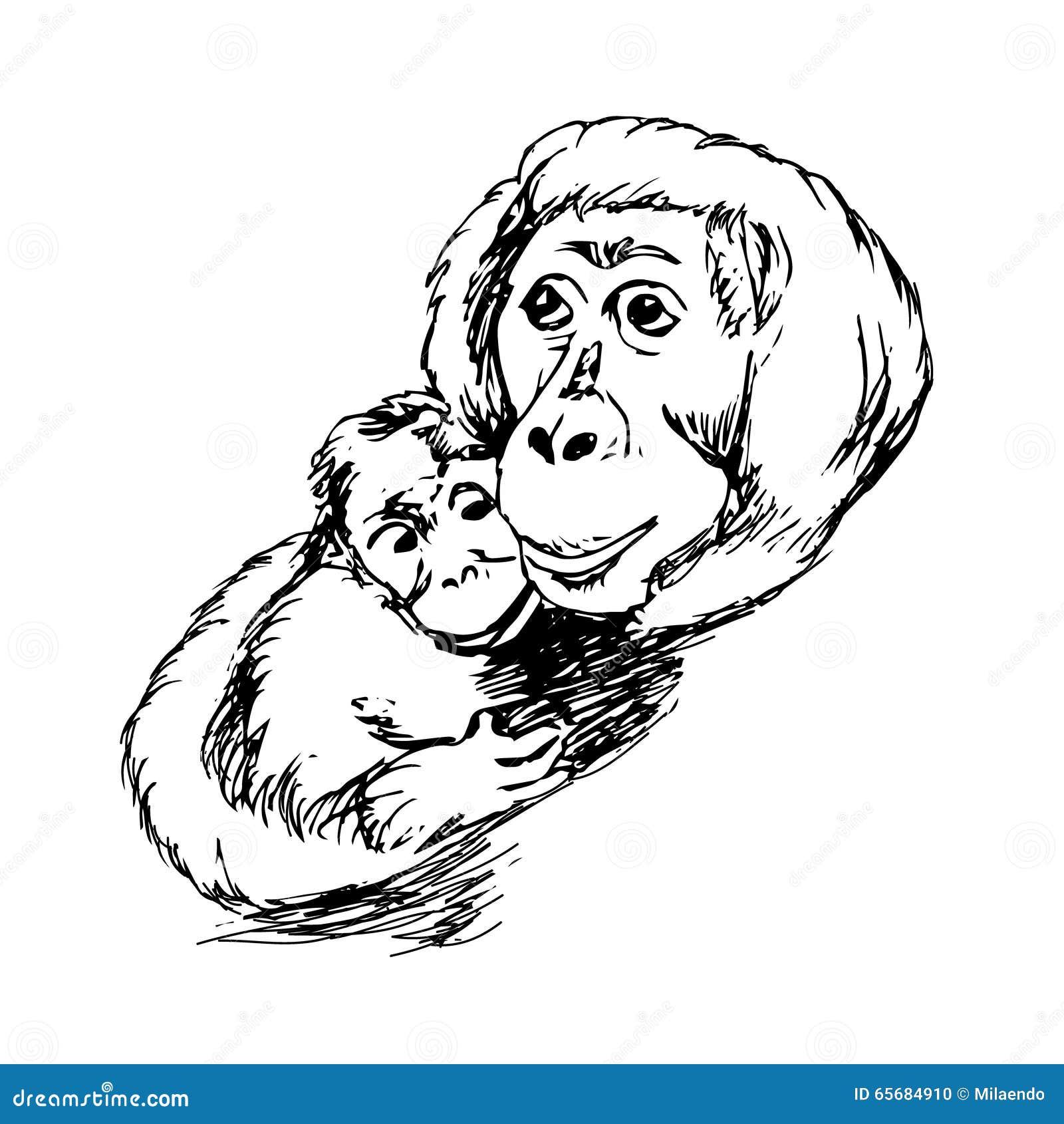 Fundo Macaco Com O Cabelo Para Trás Na Cabeça Fundo, Fotos