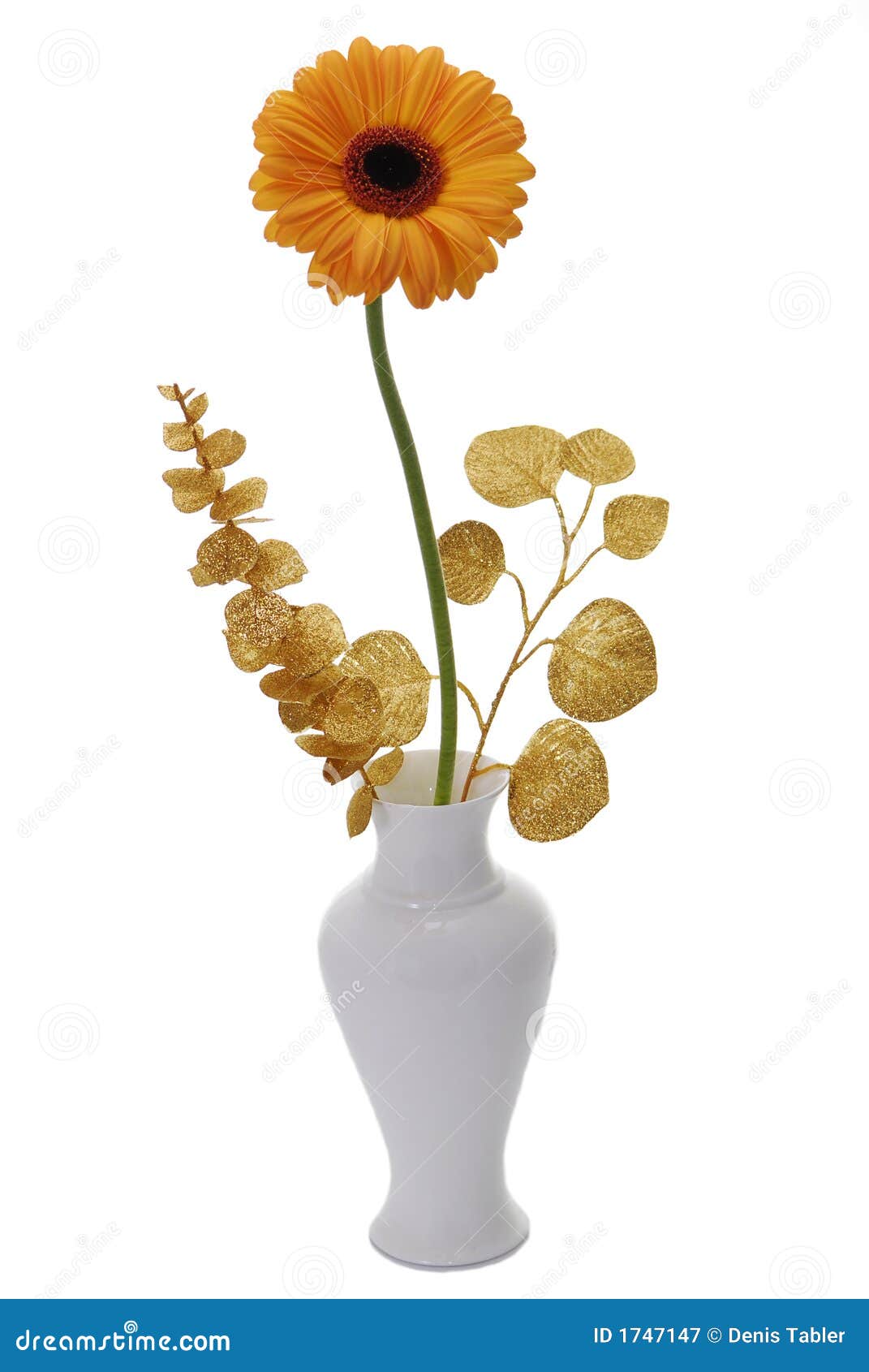glans gips Diplomatieke kwesties Oranje bloem in vaas stock afbeelding. Image of goudsbloem - 1747147