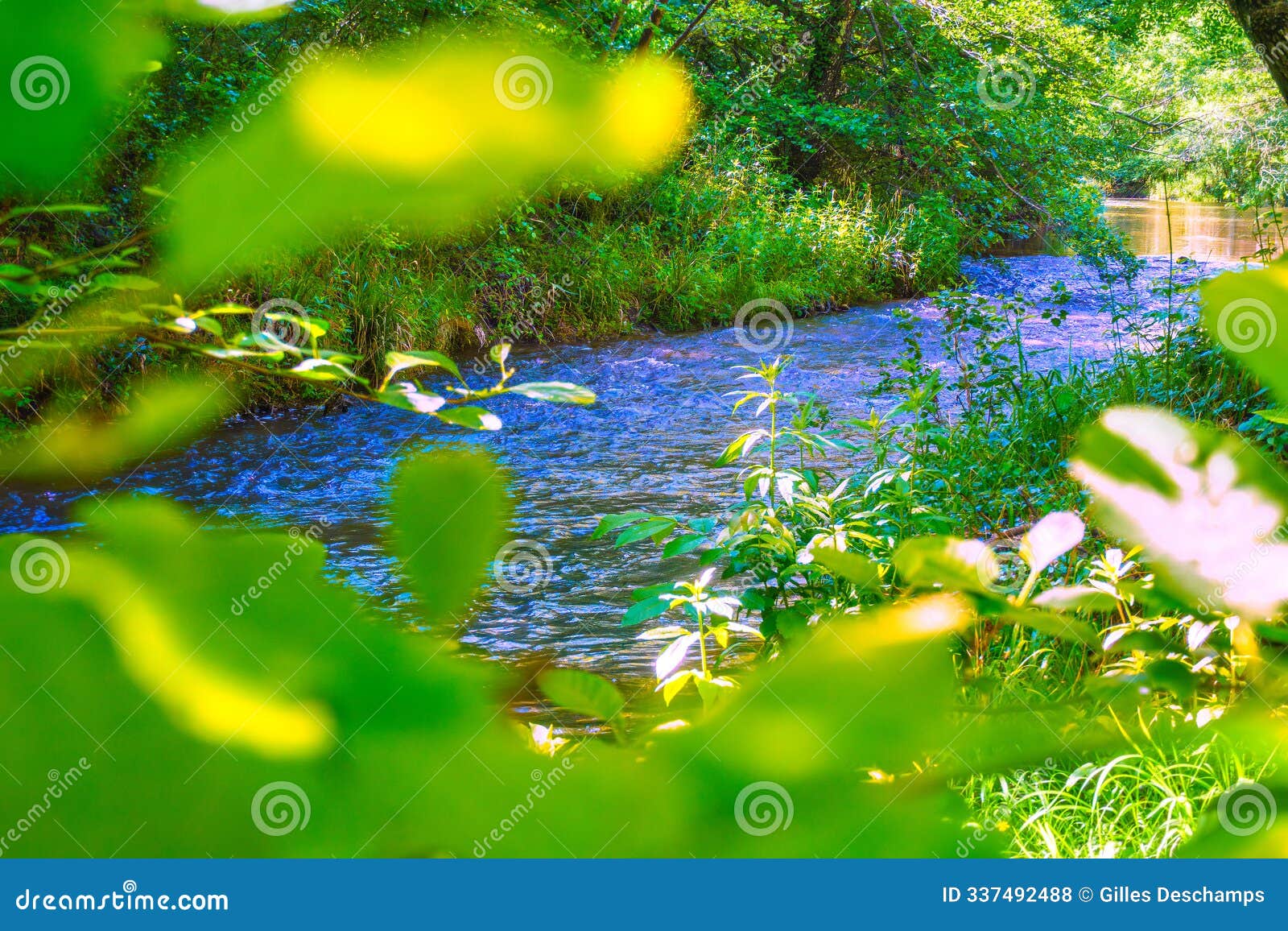 the orbieu river in french occitania.