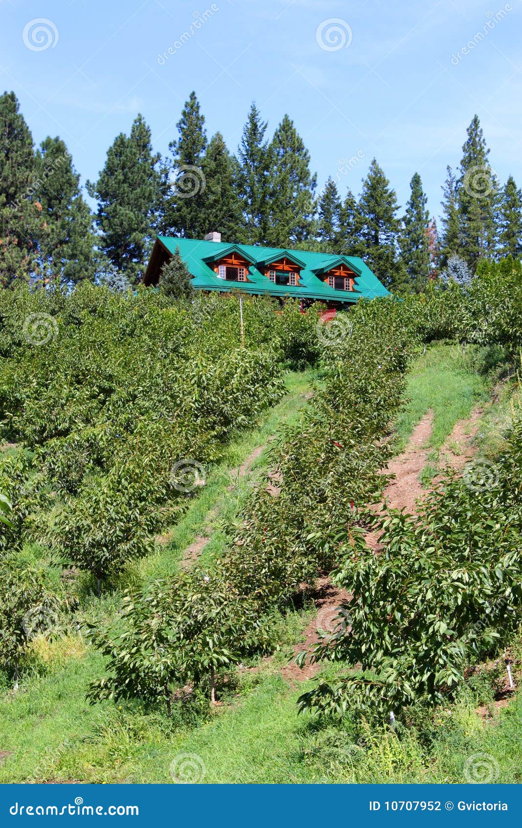 Orchard estate stock photo. Image of british, orchard 10707952