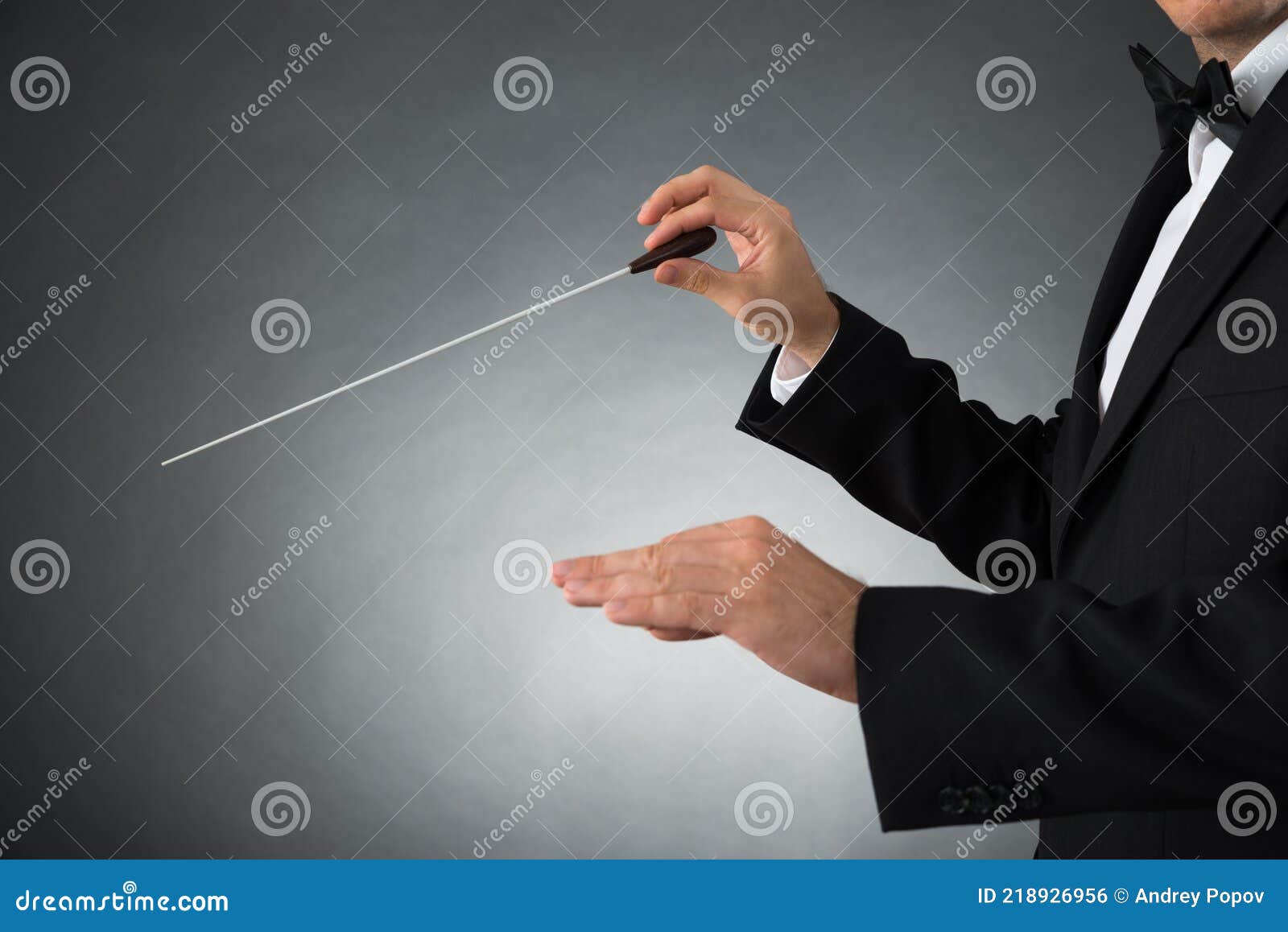 Orchestra Conductor Holding Baton Stock Photo - Image of classical ...