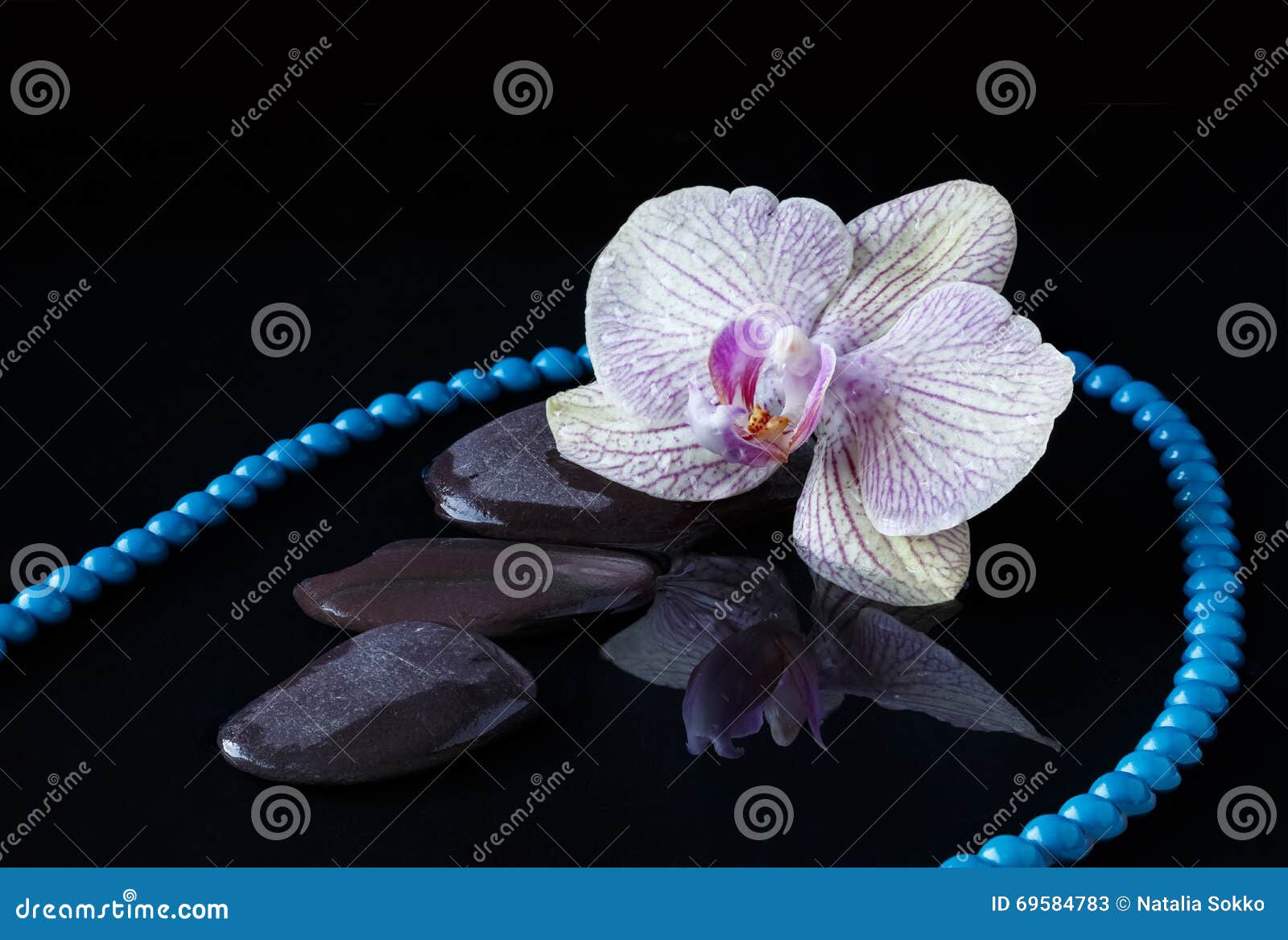 Orchid, Bead and Stones in Water Stock Image Image of nature