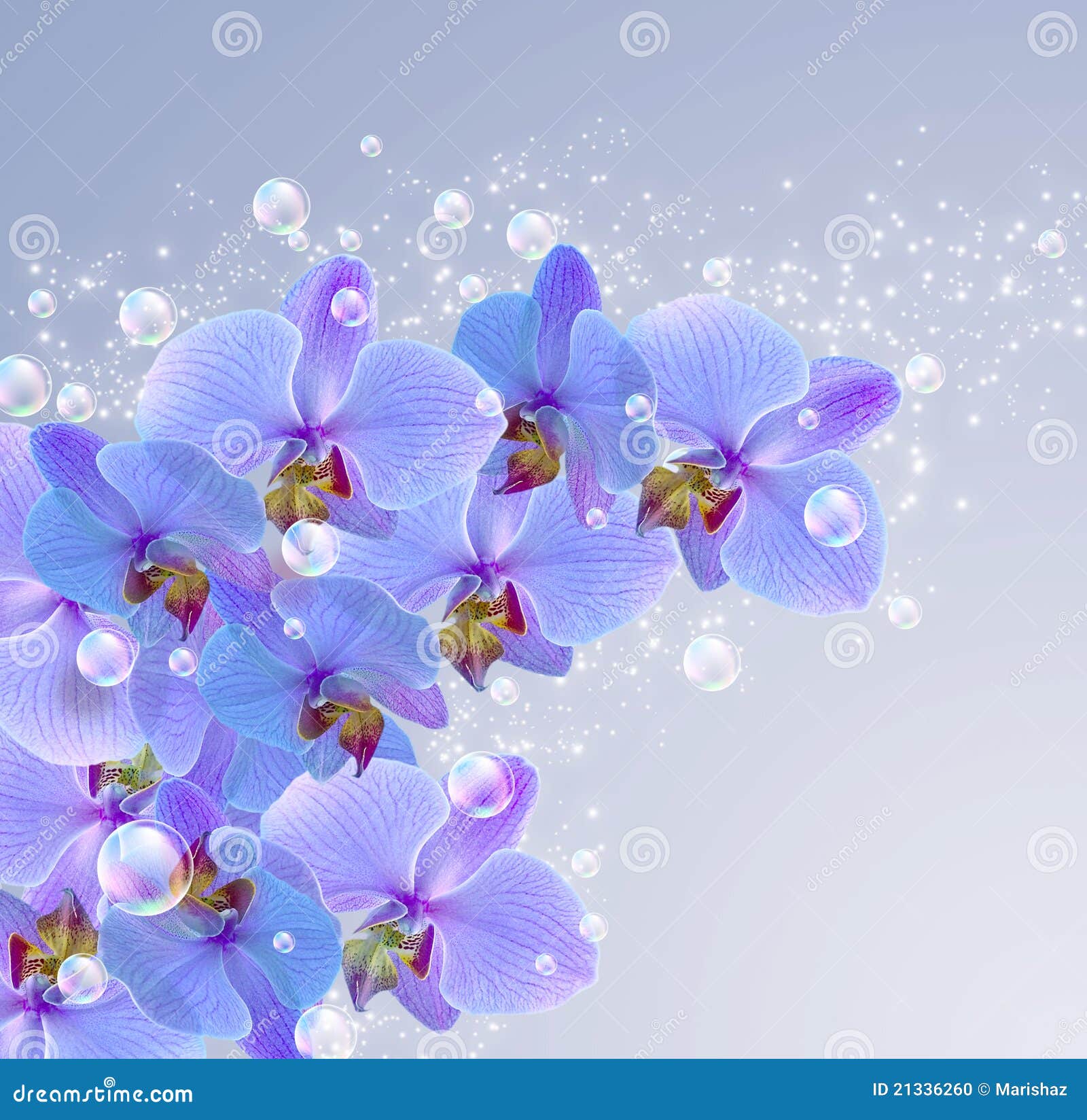 Orchid and bubbles stock illustration. Illustration of phal - 21336260