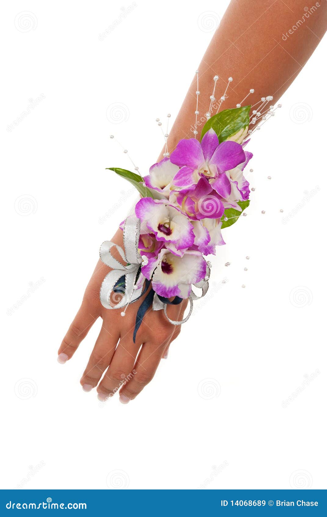 Orchid Corsage stock image. Image of orchid, botany, wear - 14068689