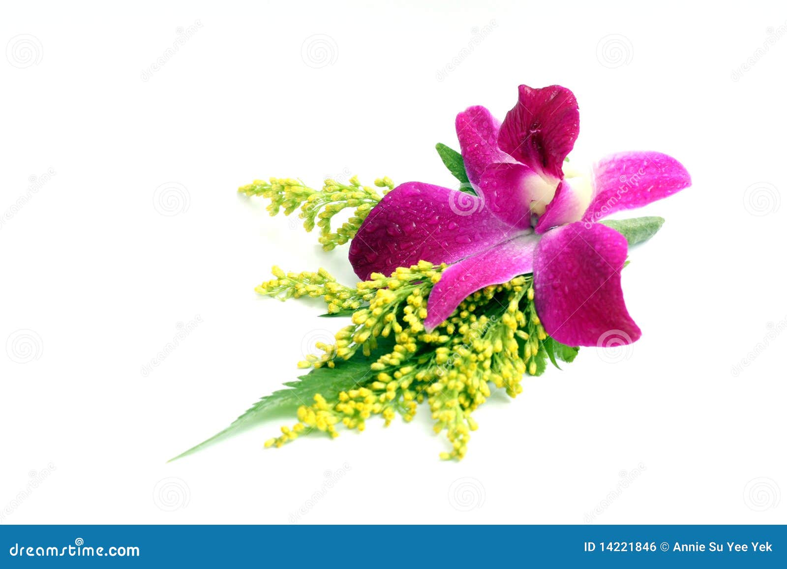 orchid corsage