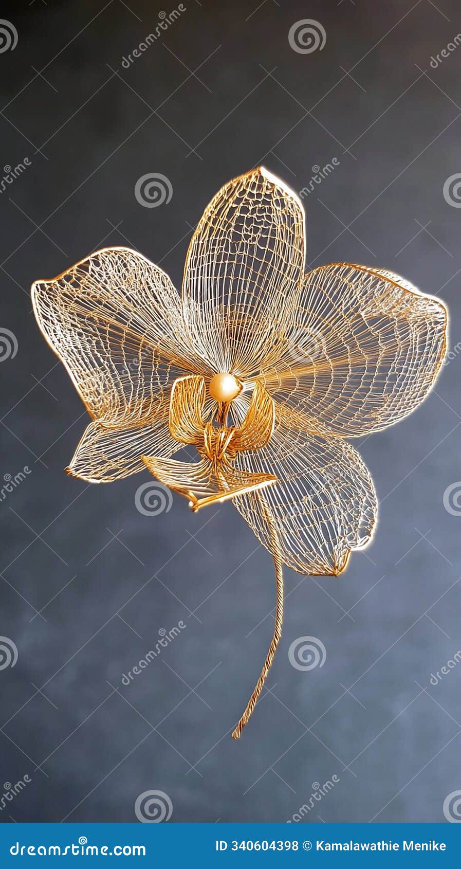 orchid with delicate filigree petals
